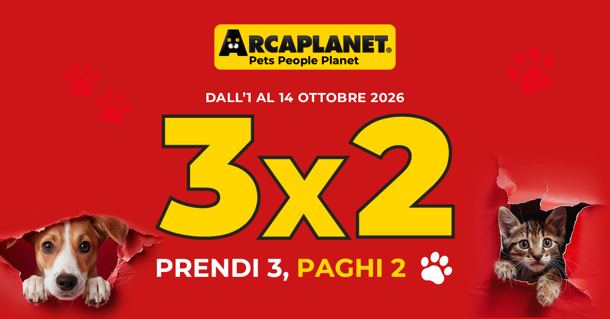 Arca_Vol_3x2_OTT_PROMO_NoCTA_1200x628-828283365.jpg
