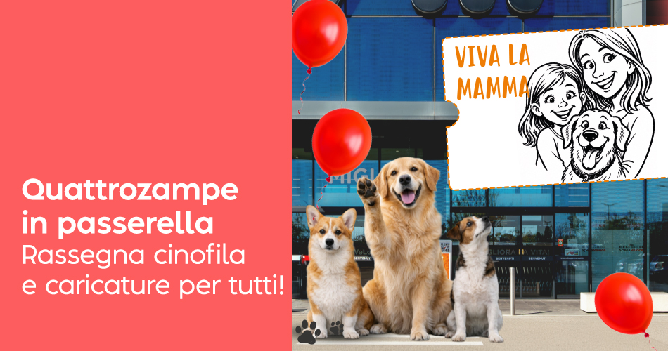 WEB_evento_passerellacinofila-152417388.jpg
