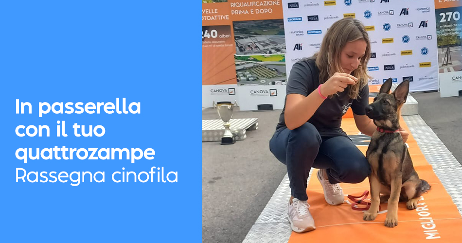 WEB_evento_rassegnacinofila-1760970099.jpg